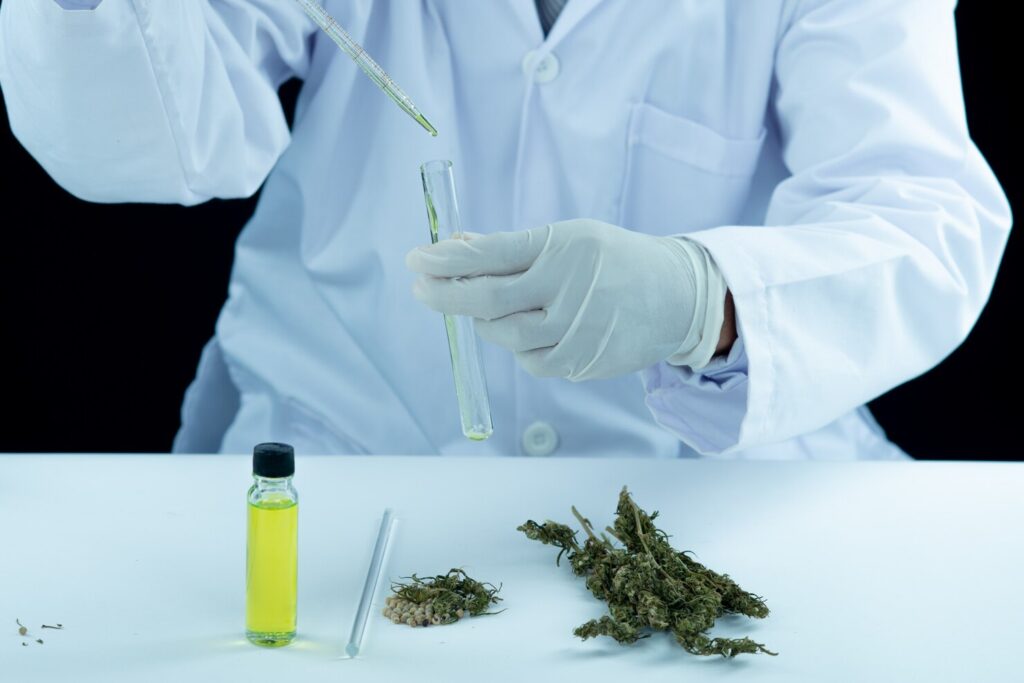 THC detection in the human body using Urine testing , blood testing , saliva testing and Hair Follicle testing