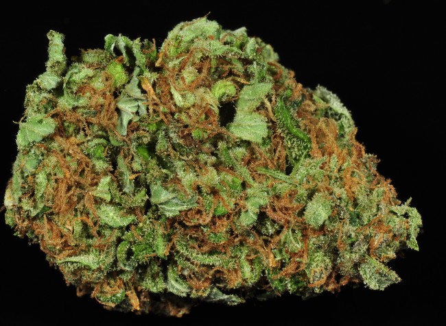 Durban Poison