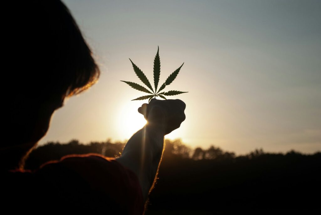 a guy holding marijuana leaf