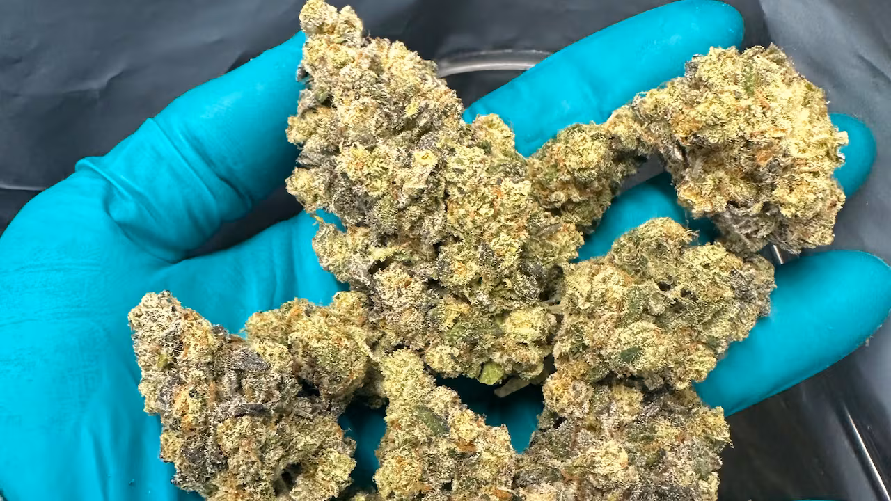 Buy Weed Online in New Brunswick