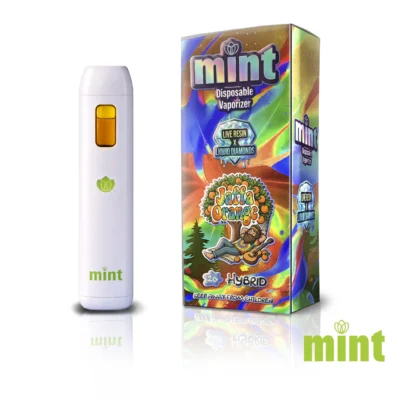 Mint Disposable 2g