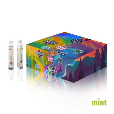 Mint Disposable DUAL STICKS 2.2g Case Mix n Match
