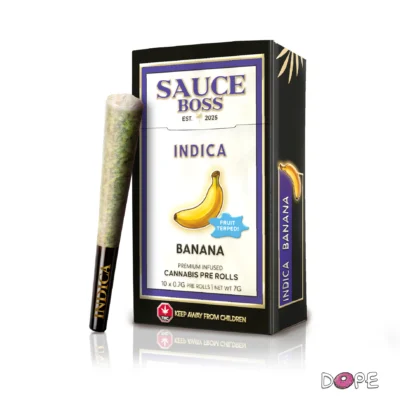SAUCE BOSS Infused Packs Pre Roll Live Resin x Liquid Diamonds 10 x 0.7g (FRUIT)