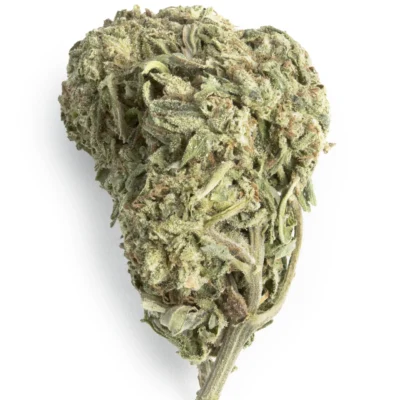 Blueberry Indica g