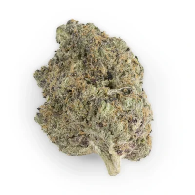 Candy Gelato Hybrid g