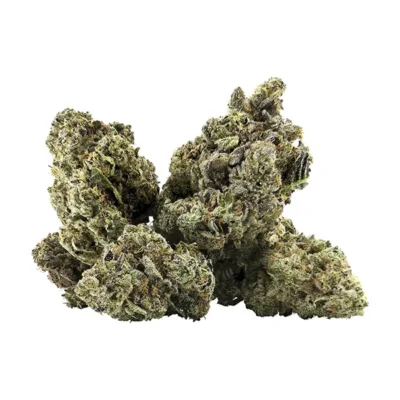 Galactica Og Indica g