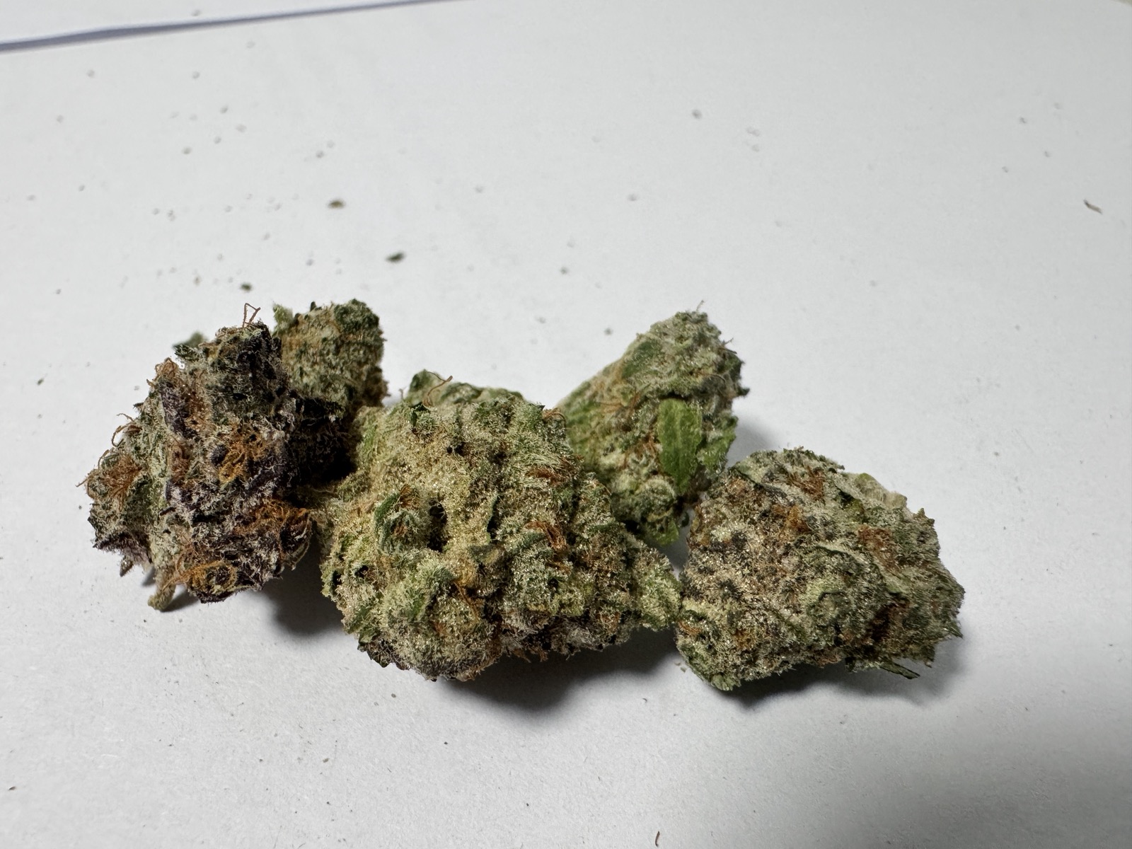 The Best Sativa Weed Strains in Canada (2026 Guide)