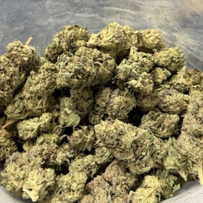 Black Amber Hybrid lb