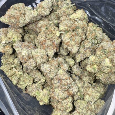 Pink Monster Bigs Hybrid g