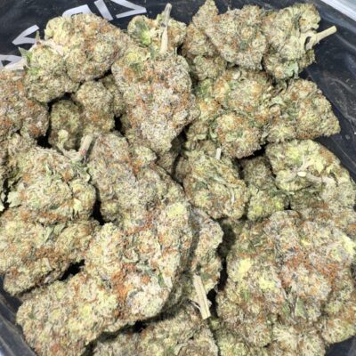 Pink Monster Bigs Hybrid lb