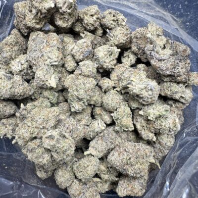 Gelato Hybrid g